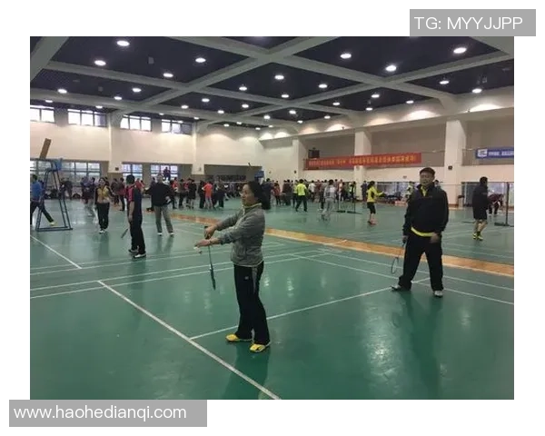 杭州羽毛球队奋起反击背后的故事与启示分析 杭州羽毛球队奋起反击背后的故事与启示分析