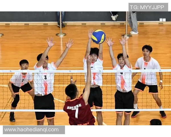 吴芳独家分享排球心得与技巧助你提升竞技水平和团队配合能力