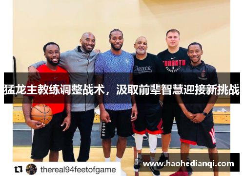 猛龙主教练调整战术，汲取前辈智慧迎接新挑战