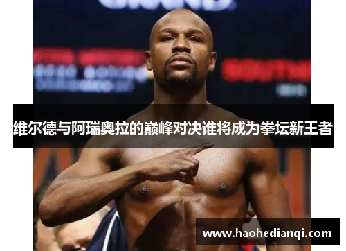 维尔德与阿瑞奥拉的巅峰对决谁将成为拳坛新王者