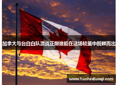 加拿大与台白白队激战正酣谁能在这场较量中脱颖而出
